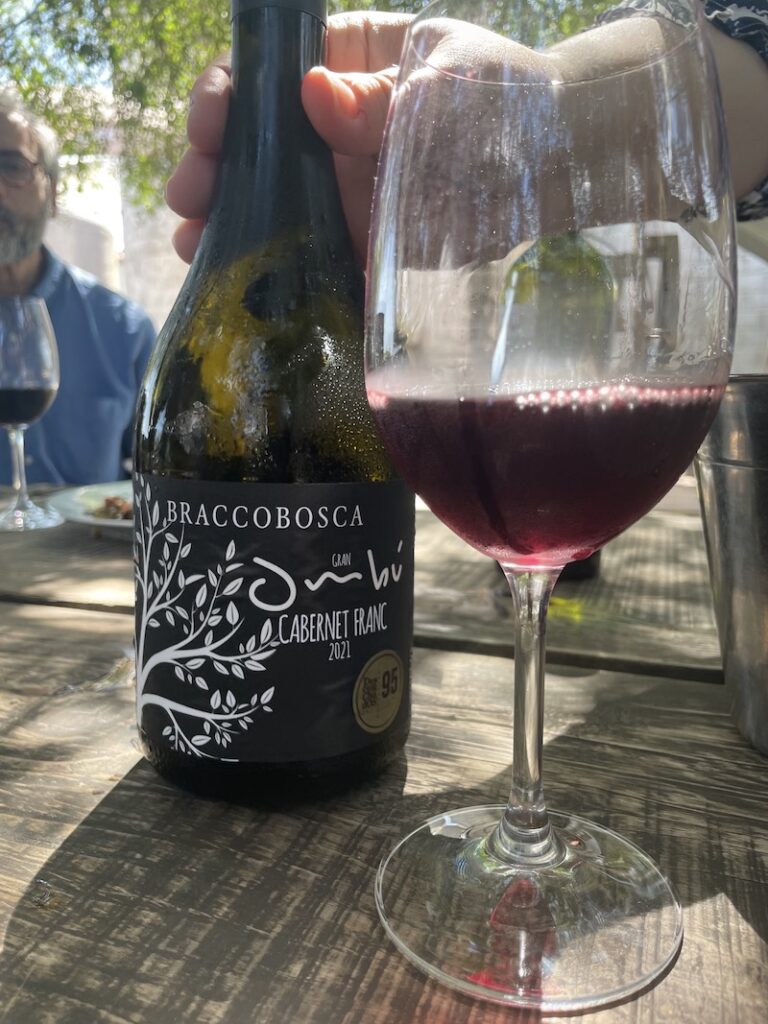 Wine tasting in Uruguay