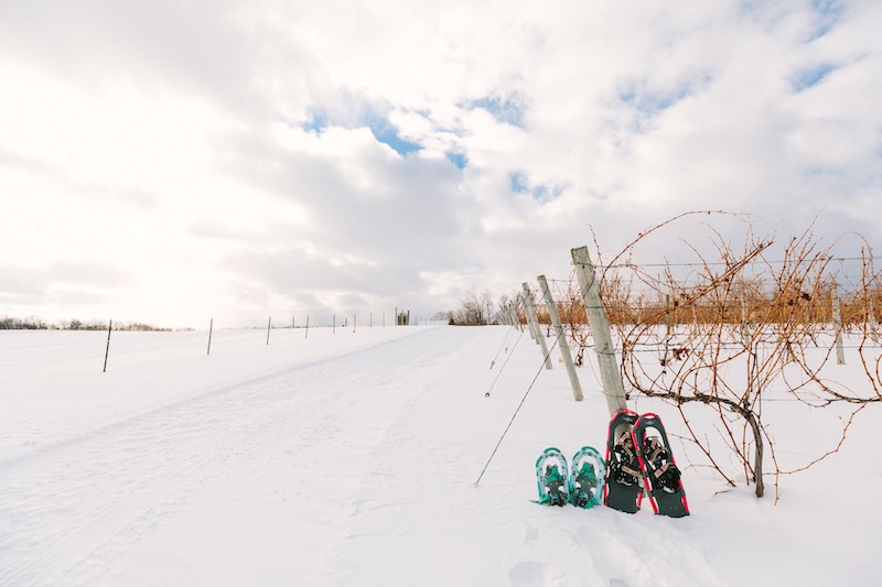 Snow shoeing at Aurora Cellars in Michigan wine country