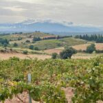 Exploring the Languedoc and Roussillon Wine Regions