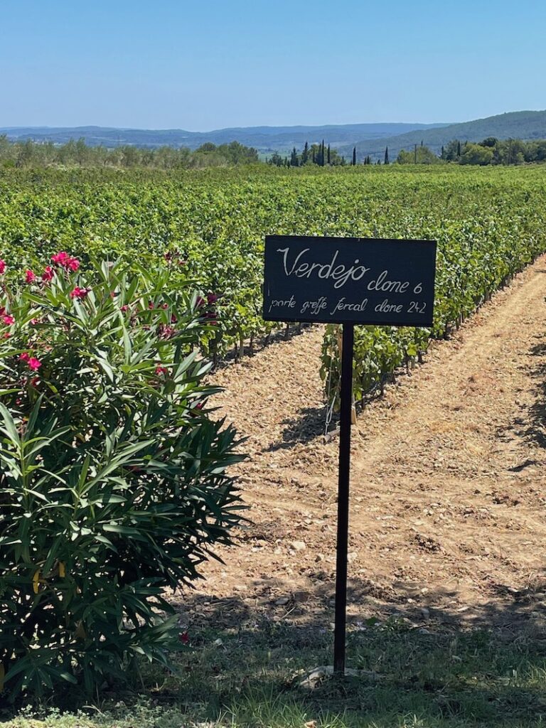Languedoc-Roussillon wine region