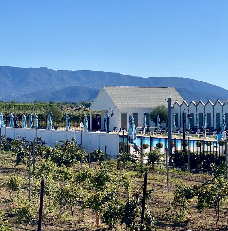 Temecual wine country - BOTTAIA Winery