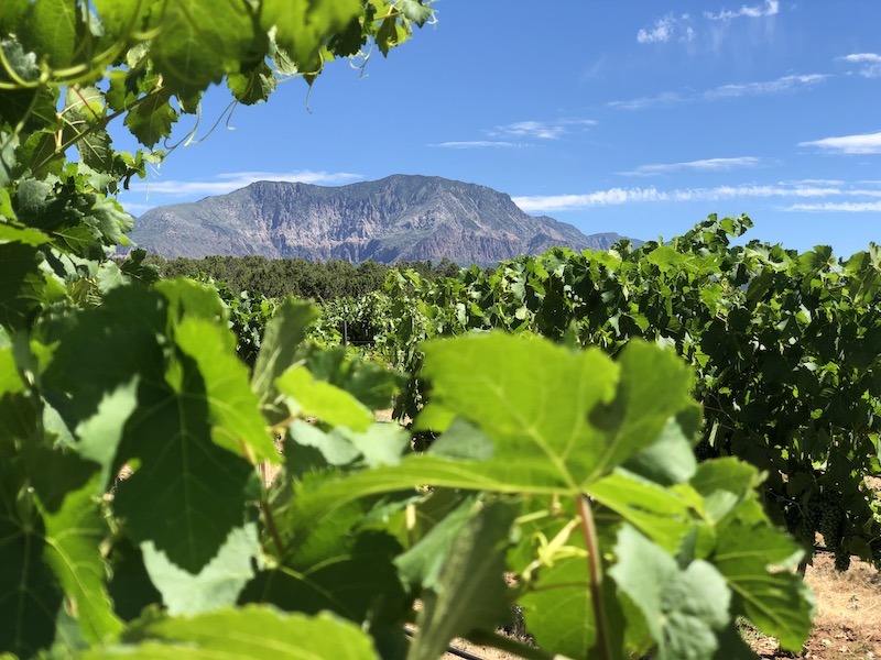 Utah wineries Chanela to visit