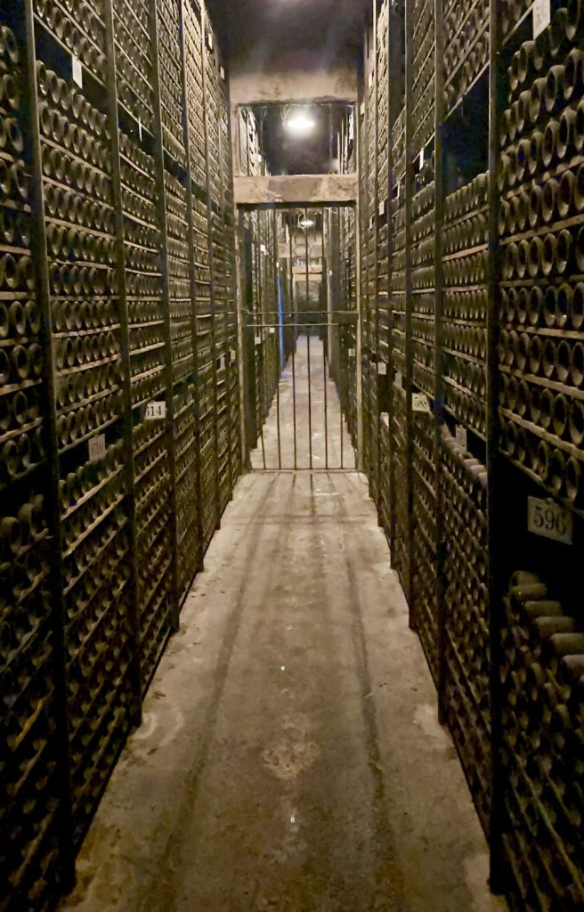 Wine tasting in Rioja - Marqués de Riscal wine cellar