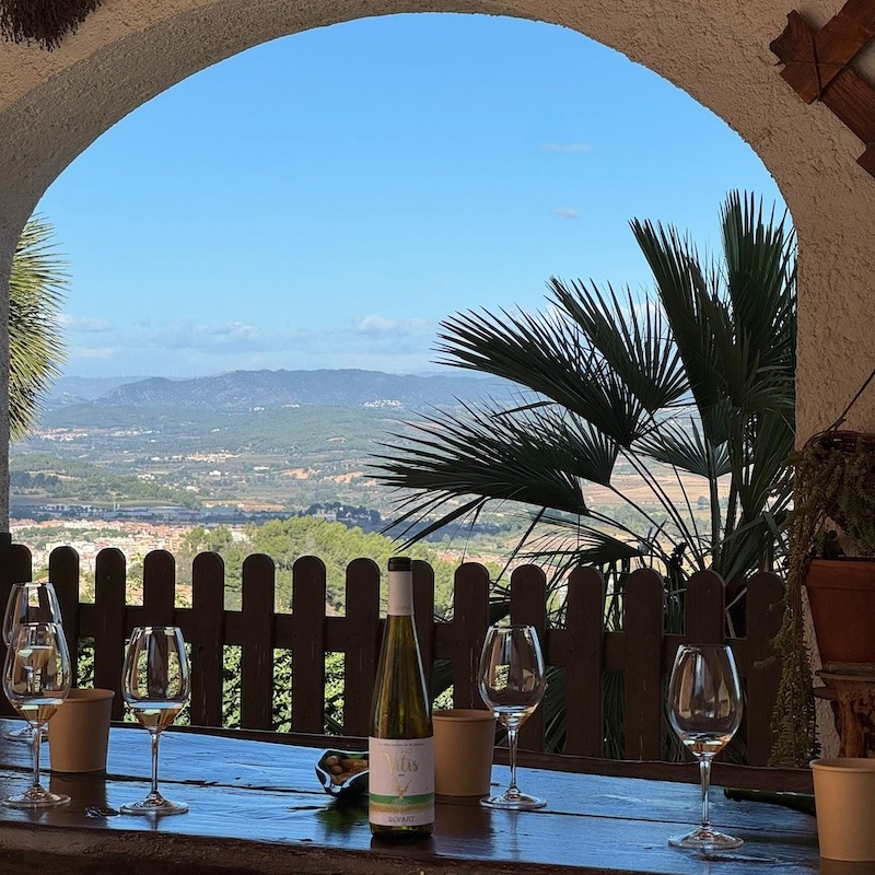 Spanish Cava - LLOPART winery