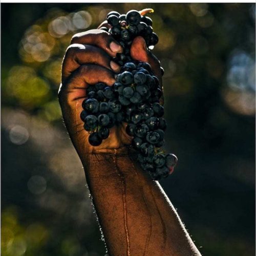 Black owned wineries in the United States