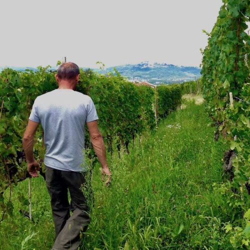 Wine Travel to Piedmont Italy, touring Franco Rocca Wine