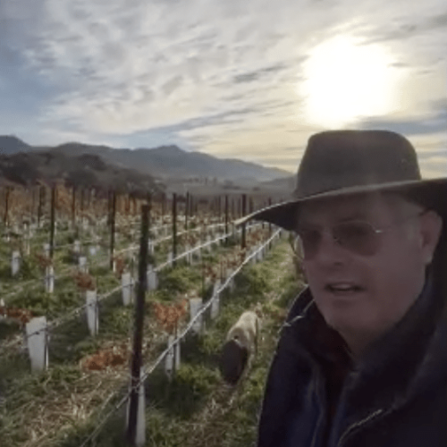 Gamble Estates Napa Valley